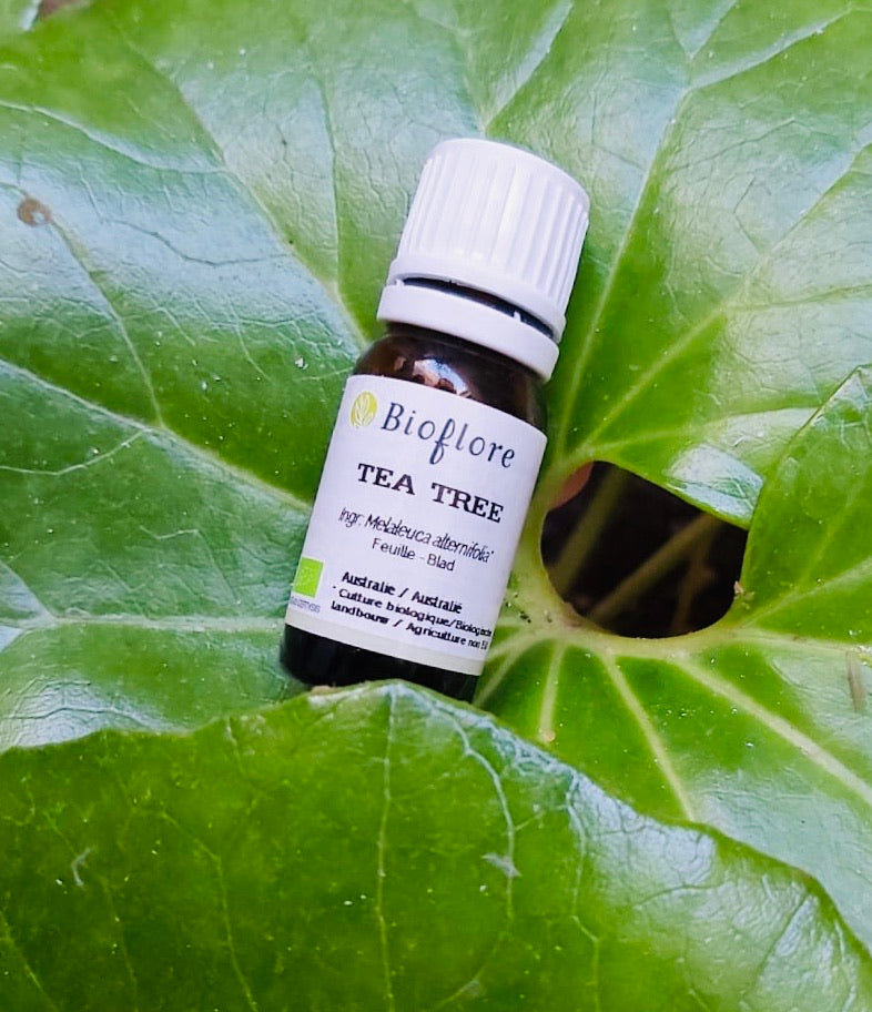 Huile essentielle de Tea Tree Bio Afrique 10 ml - Bioflore