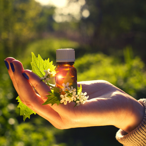 Huiles essentielles Bio Sauvages Pures Naturelles