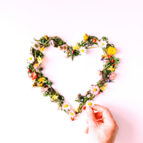 Nos best-sellers - vos produits naturels, bio coups de coeur ❤️
