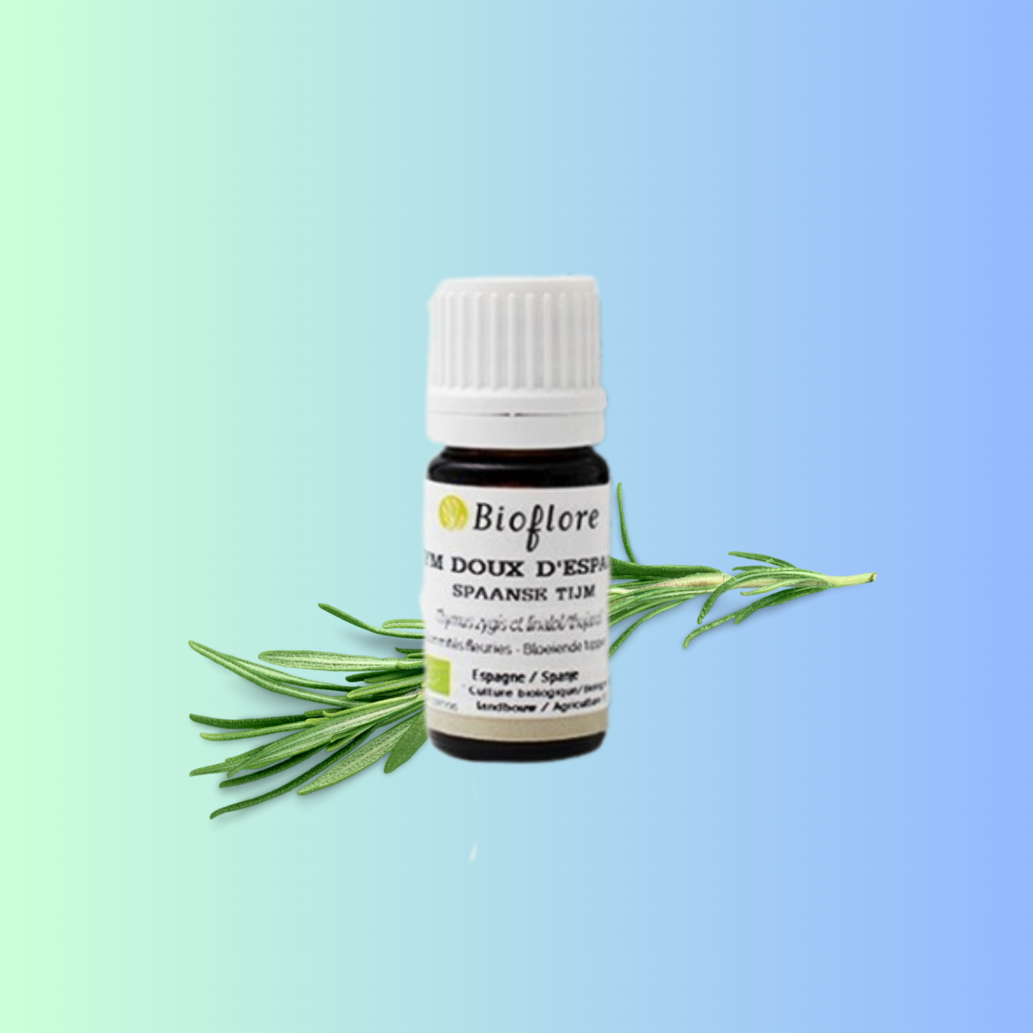 Huile essentielle de thym bio- espagne naturopeps bioflore anti infectieuse 