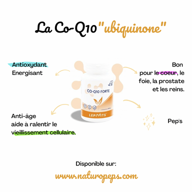 coenzyme q10 ubiquinone naturelle naturopeps
